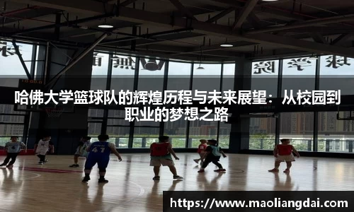 哈佛大学篮球队的辉煌历程与未来展望：从校园到职业的梦想之路