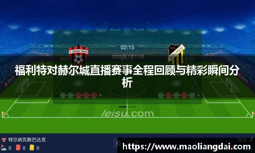 福利特对赫尔城直播赛事全程回顾与精彩瞬间分析